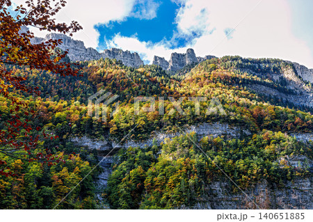 Colorful beech fall forest in Ordesa and Monte Perdido National park, Pyrenees, Aragon in Spain 140651885
