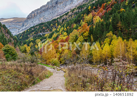 Colorful beech fall forest in Ordesa and Monte Perdido National park, Pyrenees, Aragon in Spain 140651892
