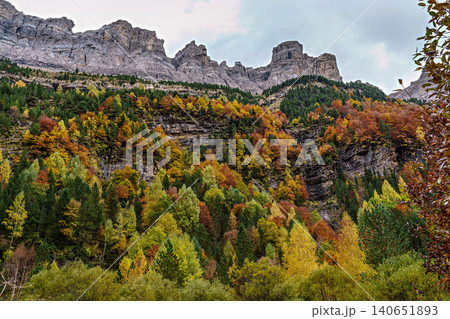 Colorful beech fall forest in Ordesa and Monte Perdido National park, Pyrenees, Aragon in Spain 140651893