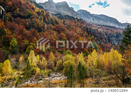 Colorful beech fall forest in Ordesa and Monte Perdido National park, Pyrenees, Aragon in Spain Colorful beech fall forest in Ordesa and Monte Perdido National park, Pyrenees, Aragon in Spain 140651894