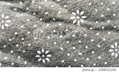 Non-slip rug backing fabric texture background with flower dot pattern. 140652248