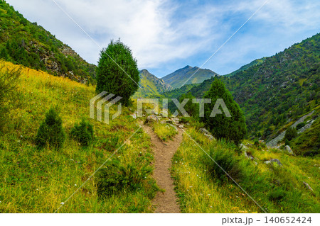 Winding Dirt Path Through Lush Mountain Valley in Kyrgyzstan Winding Dirt Path Through Lush Mountain Valley in Kyrgyzstan 140652424