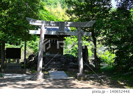 晴れた朝の一碧湖神社 静岡 晴れた朝の一碧湖神社 静岡 140652448