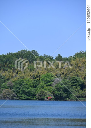 新緑の一碧湖 静岡 新緑の一碧湖 静岡 140652604