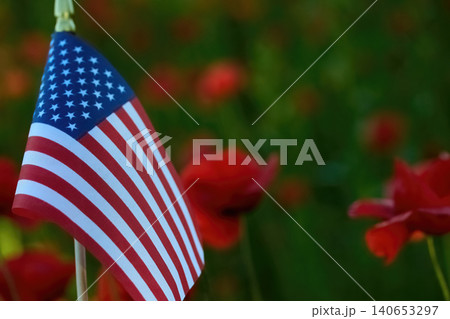 American flag honoring remembrance among red poppies American flag honoring remembrance among red poppies 140653297