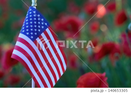 American flag standing proud among red poppies American flag standing proud among red poppies 140653305