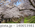 弘前公園 140653981