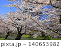 弘前公園 140653982