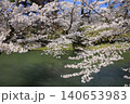 弘前公園 140653983