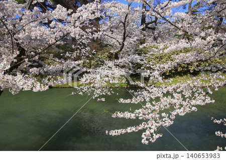 弘前公園 弘前公園 140653983