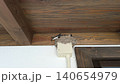 巣の中に隠れるツバメ 140654979