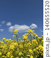 菜の花畑と青い空 140655520