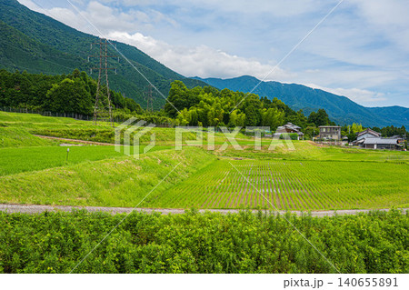 大津市八屋戸の棚田 滋賀県 大津市八屋戸の棚田 滋賀県 140655891
