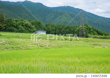 大津市八屋戸の棚田 滋賀県 大津市八屋戸の棚田 滋賀県 140655896
