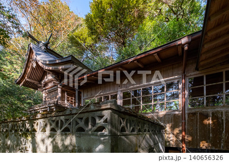 秋の国府神社 本殿と幣殿 宇倍神社境内 鳥取県鳥取市国府町 秋の国府神社 本殿と幣殿 宇倍神社境内 鳥取県鳥取市国府町 140656326