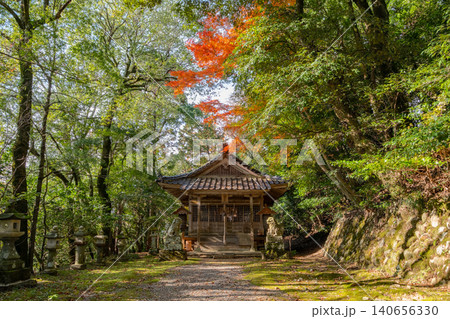 秋の国府神社　拝殿　宇倍神社境内　鳥取県鳥取市国府町 140656330