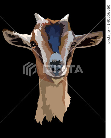 Illustration of young alpine goat head with a horns vector Illustration of young alpine goat head with a horns vector 140656660