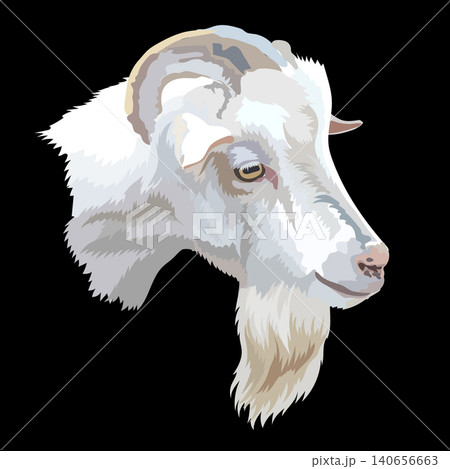 Illustration of smart white goat head with a beard and horns vector Illustration of smart white goat head with a beard and horns vector 140656663
