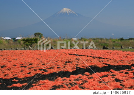 由比の桜エビの天日干し越しの富士山の景色 由比の桜エビの天日干し越しの富士山の景色 140656917