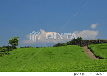 茶畑の緑色とのコントラストが美しい富士山の景色 140656923