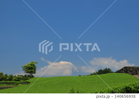 目にも鮮やかな新緑の茶畑と富士山の美しい眺め 140656938