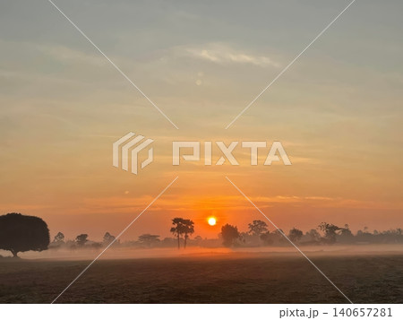 Beautiful Sunrise Over Misty Rural Landscape with Palm Tree Silhouettes Beautiful Sunrise Over Misty Rural Landscape with Palm Tree Silhouettes 140657281