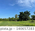 Scenic tropical countryside with green field and palm tree under blue sky 140657283