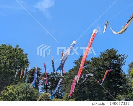 青空にたなびくこいのぼり 青空にたなびくこいのぼり 140657325