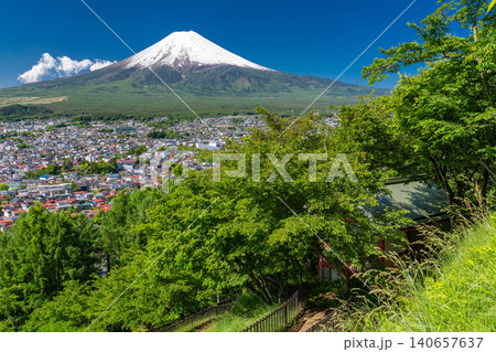 富士山と新緑が美しい新倉浅間公園の眺望 富士山と新緑が美しい新倉浅間公園の眺望 140657637