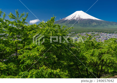 富士山と新緑が美しい新倉浅間公園の眺望 富士山と新緑が美しい新倉浅間公園の眺望 140657642