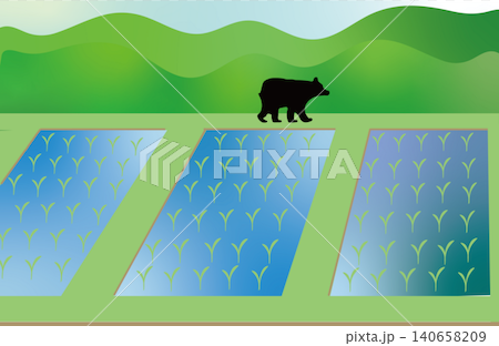 人里の田んぼに現れて周囲を警戒する野生のクマのイラスト 人里の田んぼに現れて周囲を警戒する野生のクマのイラスト 140658209