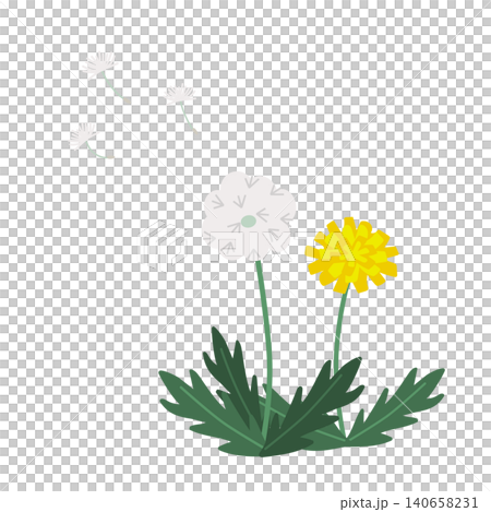 Dandelions to fly fluff Dandelions to fly fluff 140658231