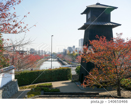 新川 江戸川区 紅葉 2020年11月 新川 江戸川区 紅葉 2020年11月 140658466