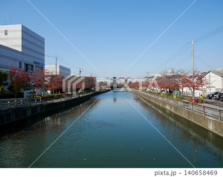 新川 江戸川区 紅葉 2020年11月 新川 江戸川区 紅葉 2020年11月 140658469