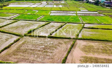 Elevated view of flooded rice paddy fields during planting season. Agricultural grid showing muddy soil texture, green crops, and traditional irrigation water system in Asian countryside Elevated view of flooded rice paddy fields during planting season. Agricultural grid showing muddy soil texture, green crops, and traditional irrigation water system in Asian countryside 140658481