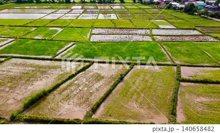Elevated view of flooded rice paddy fields during planting season. Agricultural grid showing muddy soil texture, green crops, and traditional irrigation water system in Asian countryside 140658482