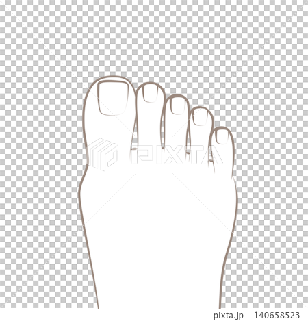Line art illustration of the top of a foot for foot care, nail care, and coloring (right foot, vector) 140658523
