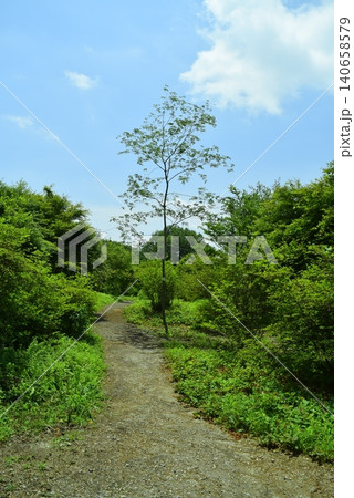 群馬　公園内の景色 140658579