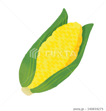 とうもろこし とうもろこし 140659273