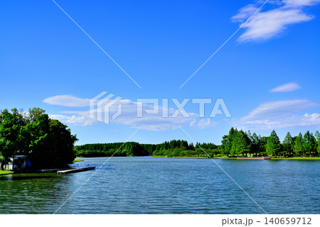 東京 水元大橋から見る都立水元公園と県営みさと公園 東京 水元大橋から見る都立水元公園と県営みさと公園 140659712