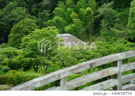 東京都町田市の薬師池公園の風景 東京都町田市の薬師池公園の風景 140659759