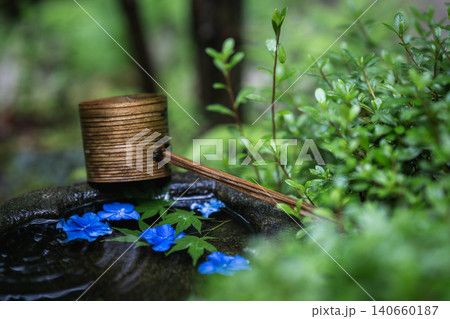 一条恵観山荘の雨に濡れる紫陽花と和の情緒あふれる風景 一条恵観山荘の雨に濡れる紫陽花と和の情緒あふれる風景 140660187