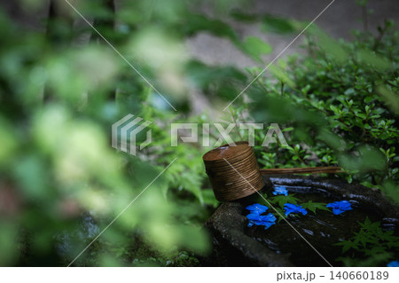 一条恵観山荘の雨に濡れる紫陽花と和の情緒あふれる風景 一条恵観山荘の雨に濡れる紫陽花と和の情緒あふれる風景 140660189
