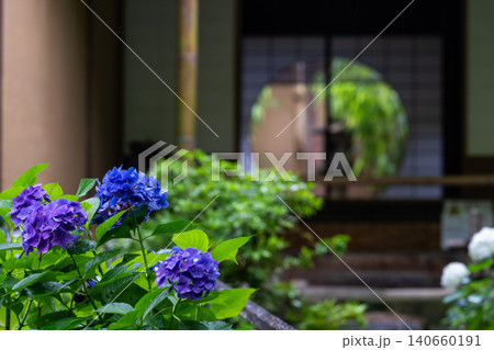 一条恵観山荘の雨に濡れる紫陽花と和の情緒あふれる風景 140660191