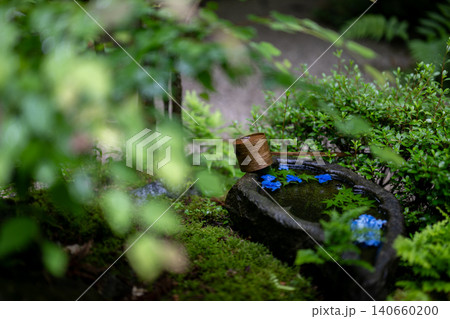 一条恵観山荘の雨に濡れる紫陽花と和の情緒あふれる風景 一条恵観山荘の雨に濡れる紫陽花と和の情緒あふれる風景 140660200