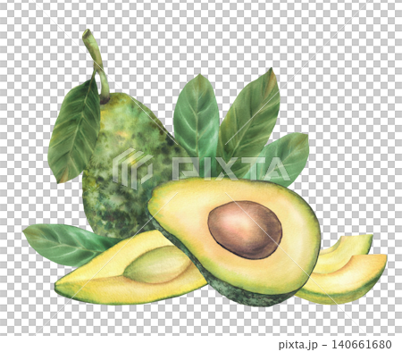 Watercolor Avocado. Realistic whole fruit, halves with seed, slices and leaves. Hand drawn realistic illustration on isolated white background. Clipart for food design, cosmetic, menu, vegan recipes Watercolor Avocado. Realistic whole fruit, halves with seed, slices and leaves. Hand drawn realistic illustration on isolated white background. Clipart for food design, cosmetic, menu, vegan recipes 140661680