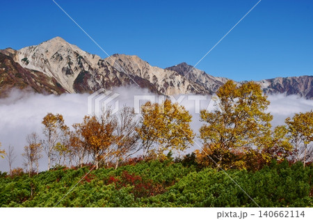 紅葉のピークを迎えた白馬の峰々 140662114