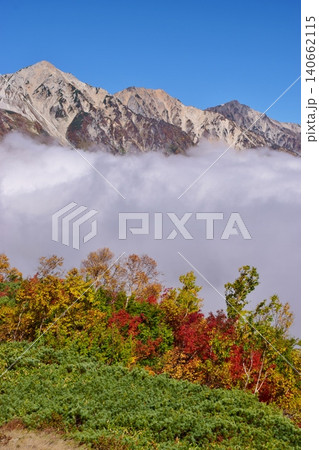 紅葉のピークを迎えた白馬の峰々 紅葉のピークを迎えた白馬の峰々 140662115
