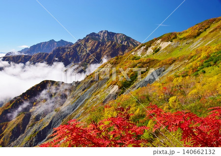 紅葉のピークを迎えた白馬の峰々 140662132