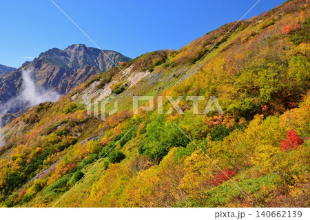 紅葉のピークを迎えた白馬の峰々 紅葉のピークを迎えた白馬の峰々 140662139